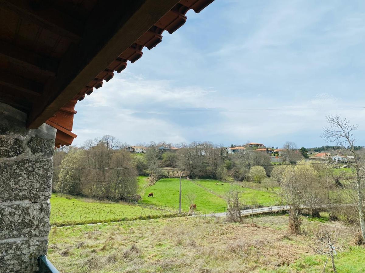 Casinha Da Ti'Augusta Lamego Exterior foto